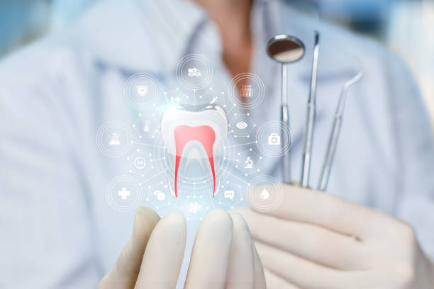 Professional  Holistic Dental Services in Honeyville, UT